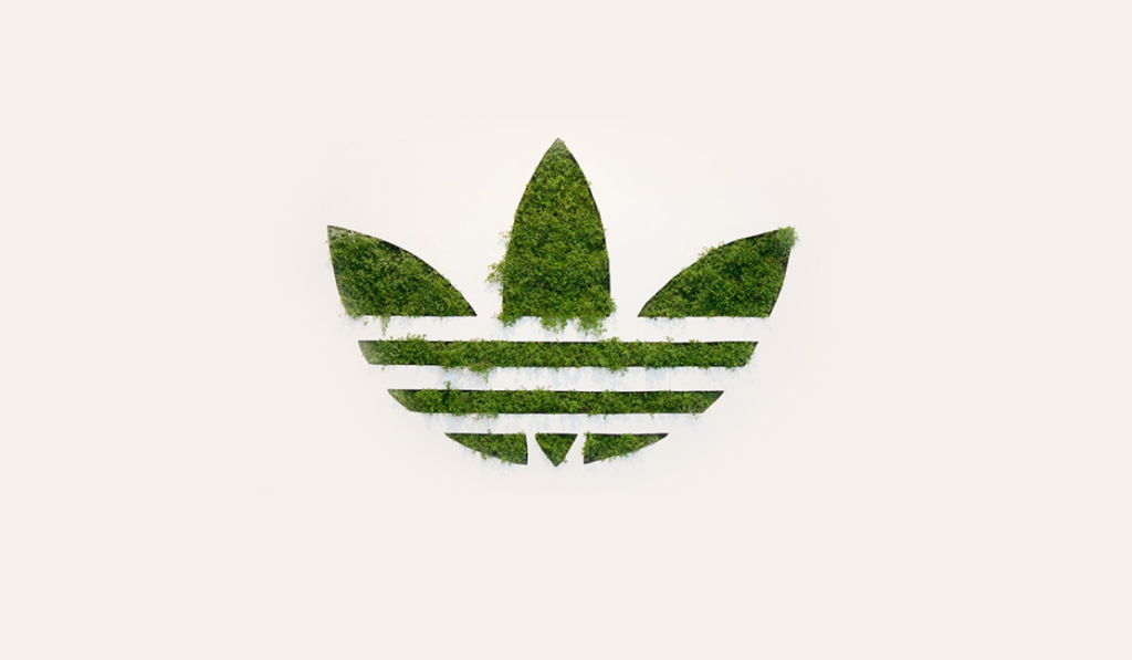 Adidas green sports brand